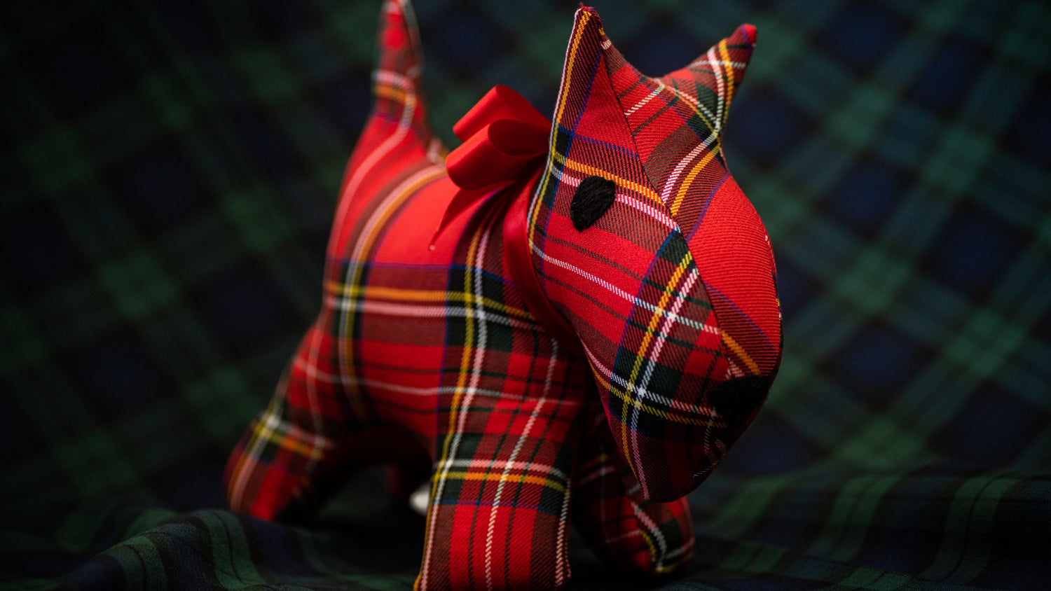 Royal Stewart tartan dog