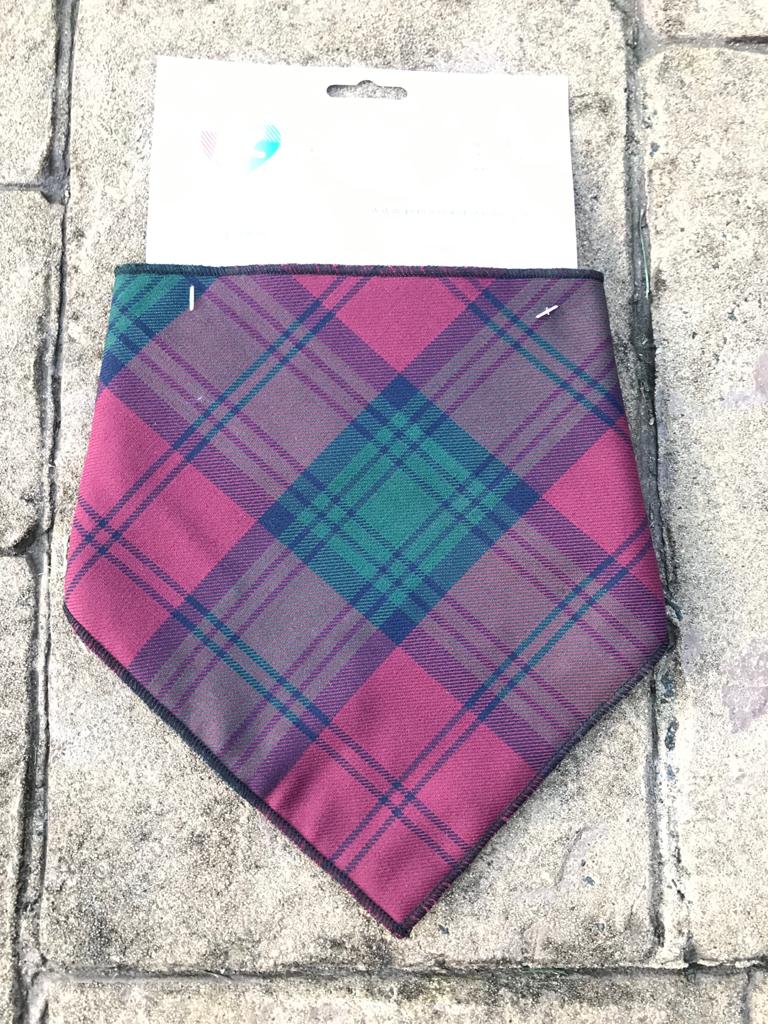 Lindsay Tartan Bib