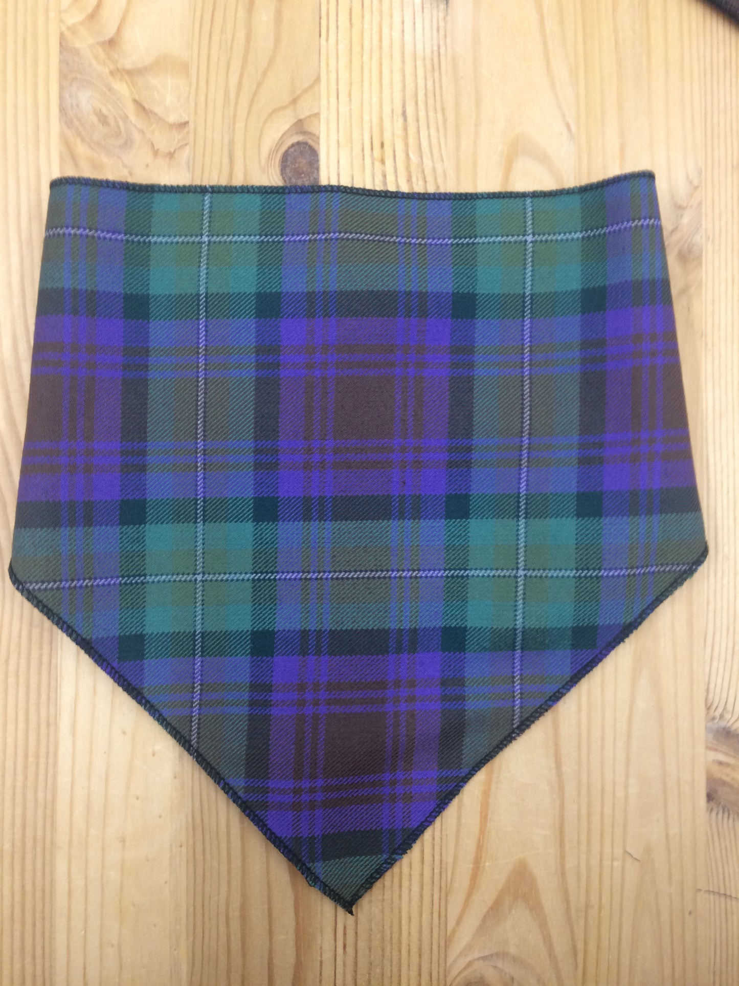 Isle of Skye Tartan Bib