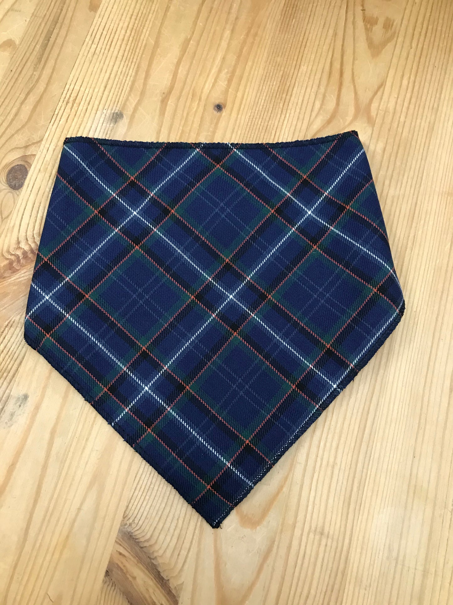 Isle of Arran Tartan Bib