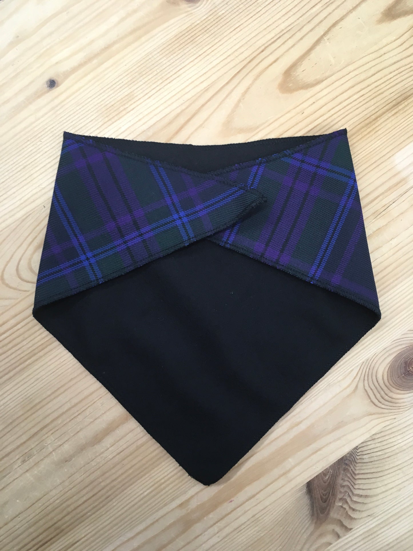 Spirit of Scotland Tartan Bib